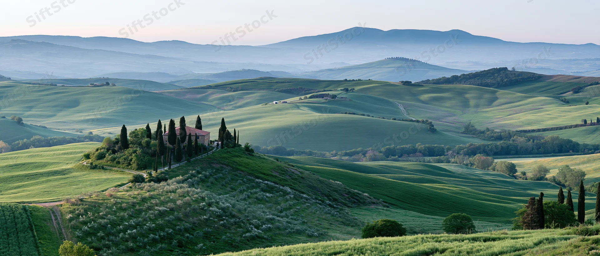 A villa surrounded by cypress trees on a green hill in the tuscan countryside at morning light
