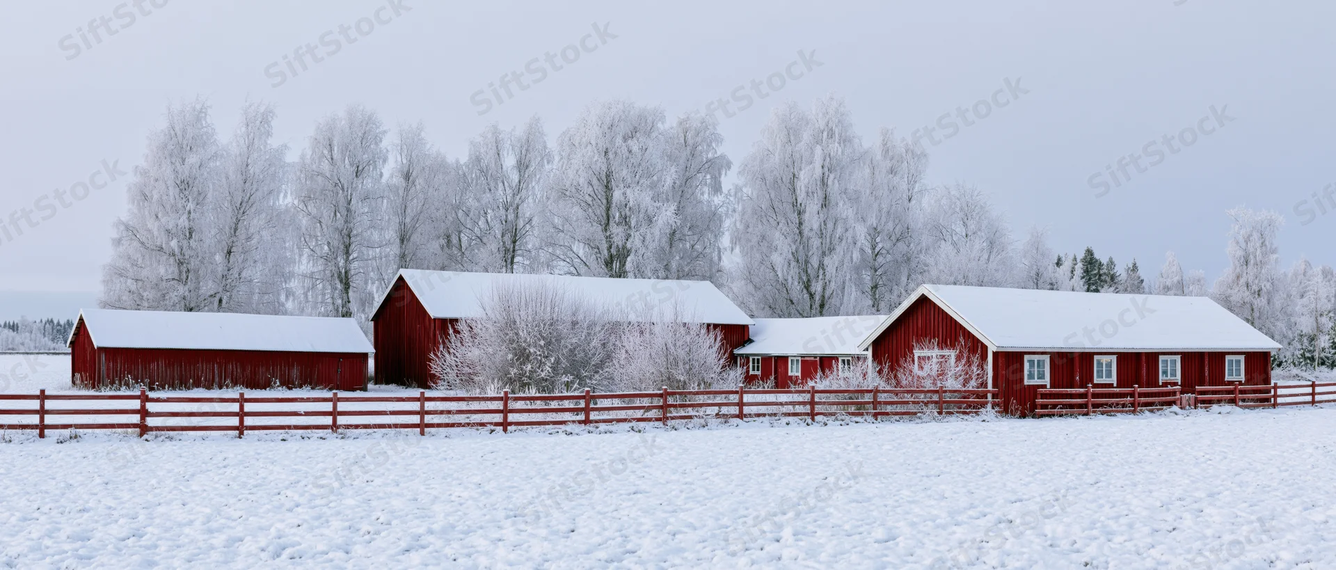Red barns and farm buildings in snow-covered rural field with frosty trees and wooden fence