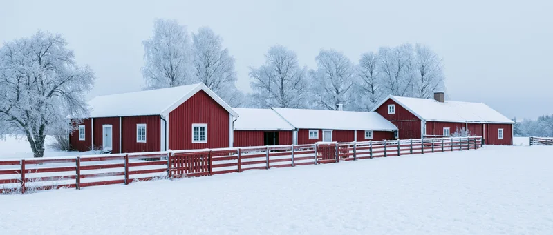 Red barns and farmhouse in snow-covered rural landscape with wooden fence and bare trees