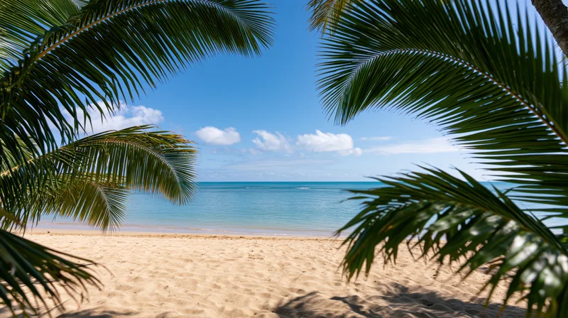 Palm fronds framing a sandy beach with turquoise ocean and blue sky