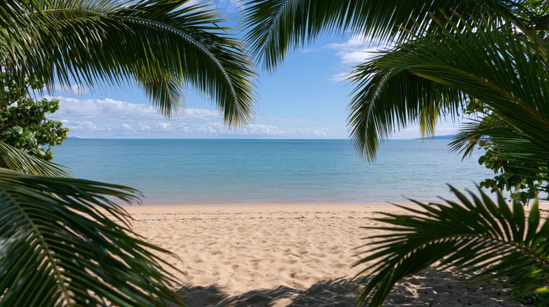 Tropical beach framed by palm fronds overlooking calm ocean under blue sky