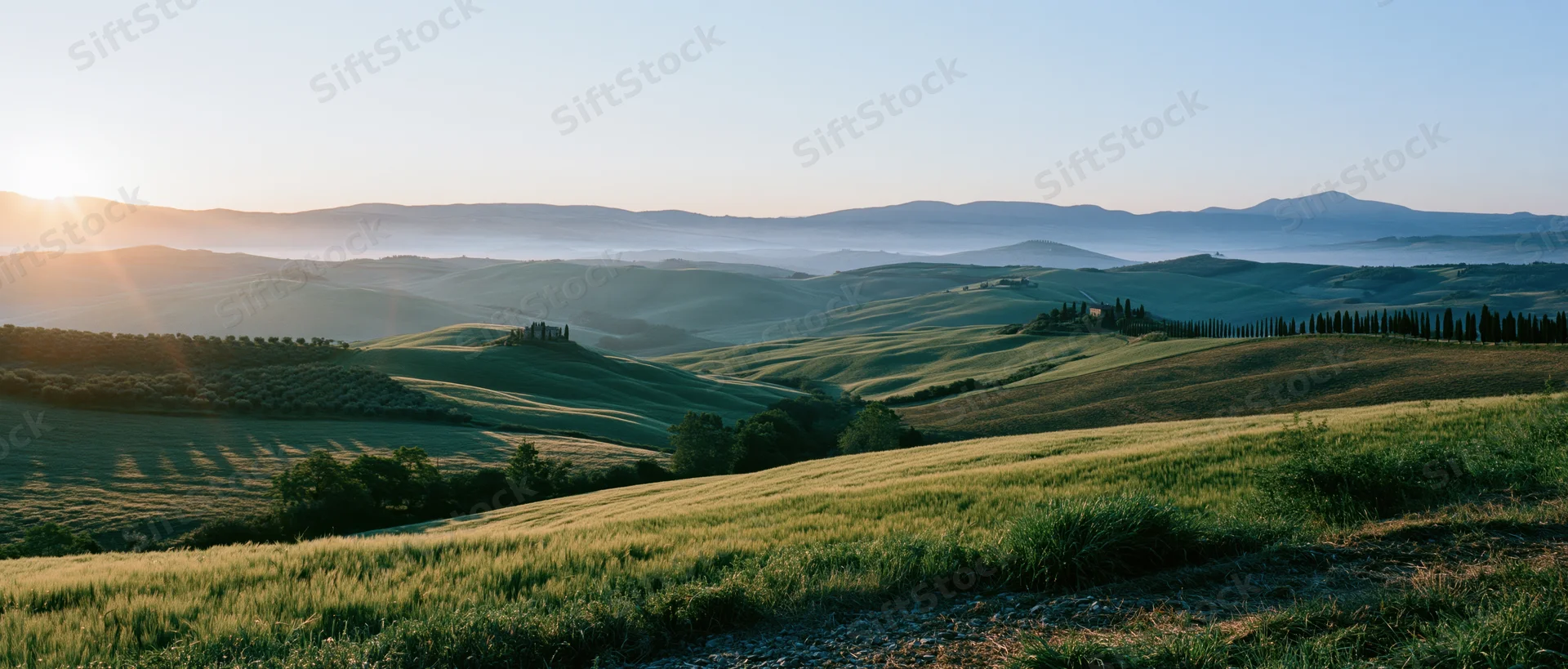 Rolling green hills and fields under a soft sunset sky in a rural countryside landscape