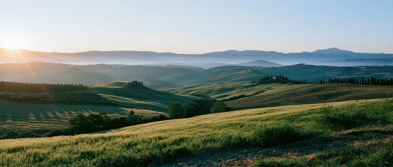 Rolling green hills and fields under a soft sunset sky in a rural countryside landscape