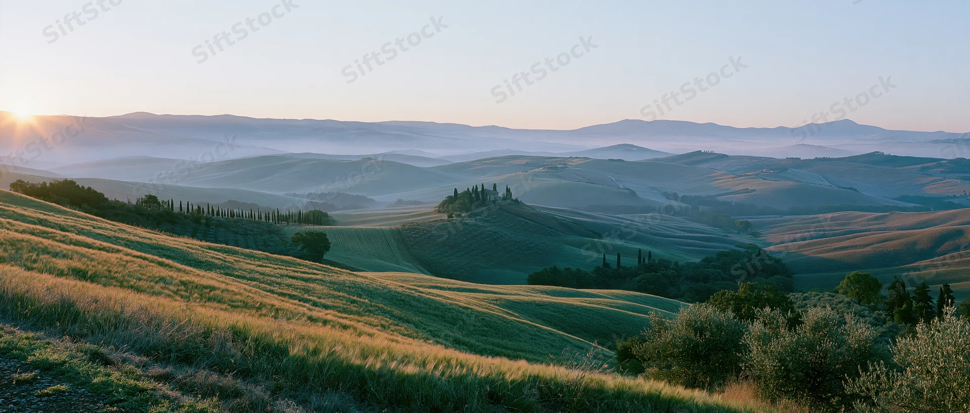 Rolling hills covered in grass and trees under sunrise light in a rural valley