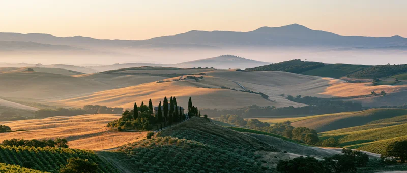 Villa surrounded by cypress trees on a hill in the tuscan countryside at sunset