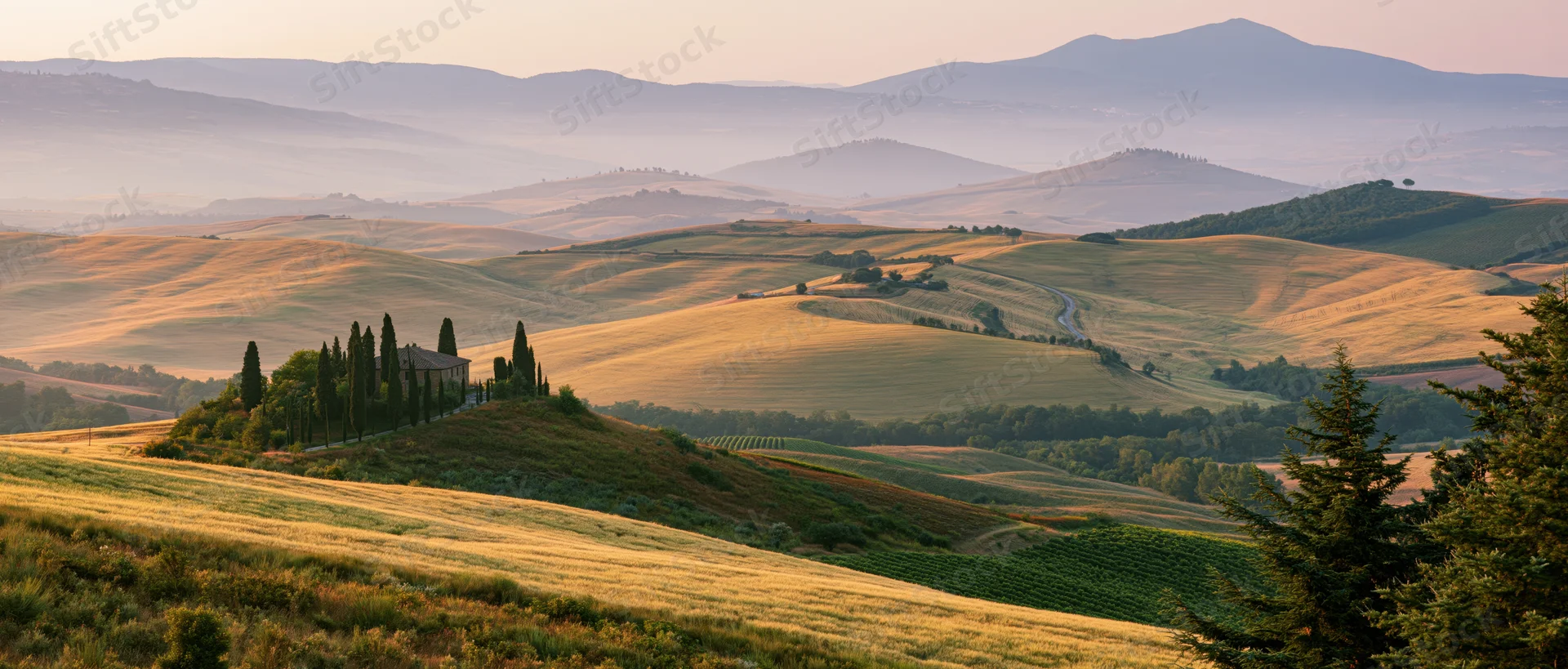 Rolling golden hills with cypress trees and a farmhouse in tuscany at sunset