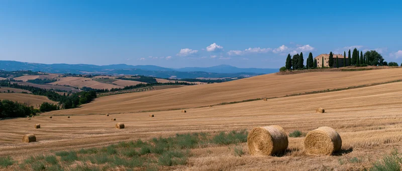 Golden wheat fields with hay bales and a stone villa on a hill in tuscany under a blue sky