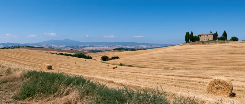 Golden wheat fields with haybales and a stone farmhouse on rolling hills under a clear blue sky