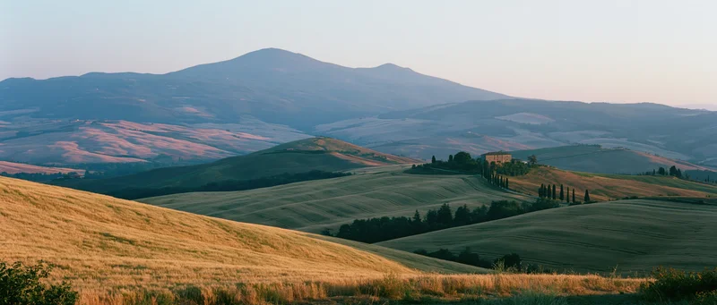 Rolling golden wheat fields and green hills with a farmhouse and cypress trees in tuscany at sunset
