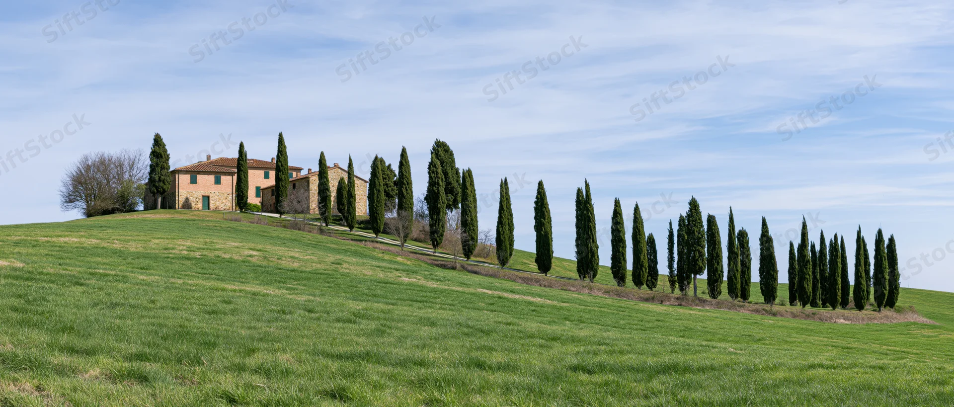 Stone farmhouse on a grassy hill with a row of cypress trees under a blue sky