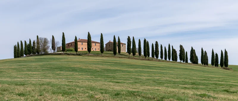 Cypress trees lining a hilltop villa in the tuscan countryside