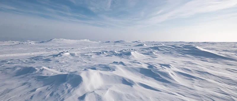 Snow-covered arctic landscape with wind-sculpted drifts under a pale blue sky