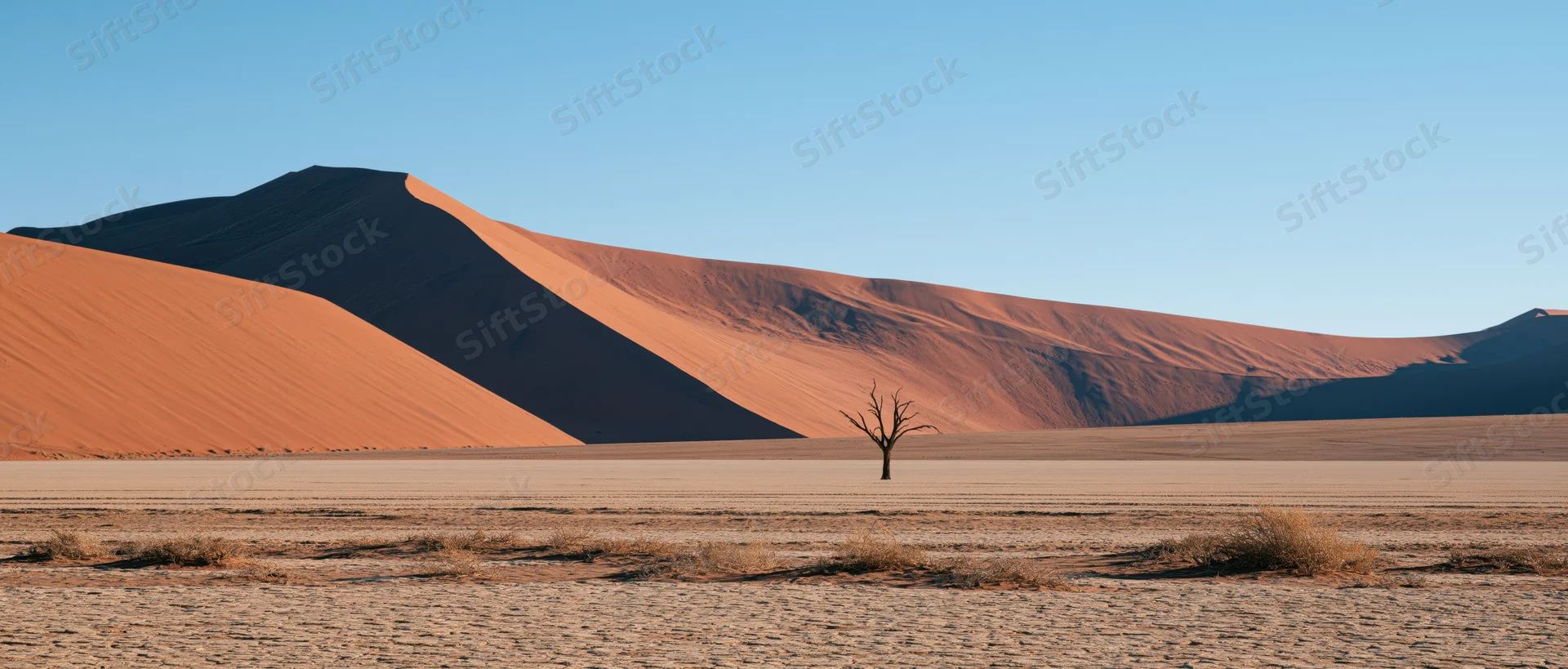 A dead tree stands alone in a vast desert plain before towering red sand dunes under a clear blue sky