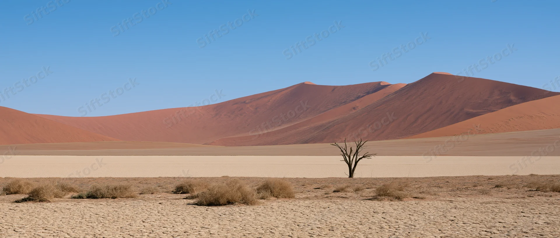 Red sand dunes rise behind a dead tree in a barren desert landscape