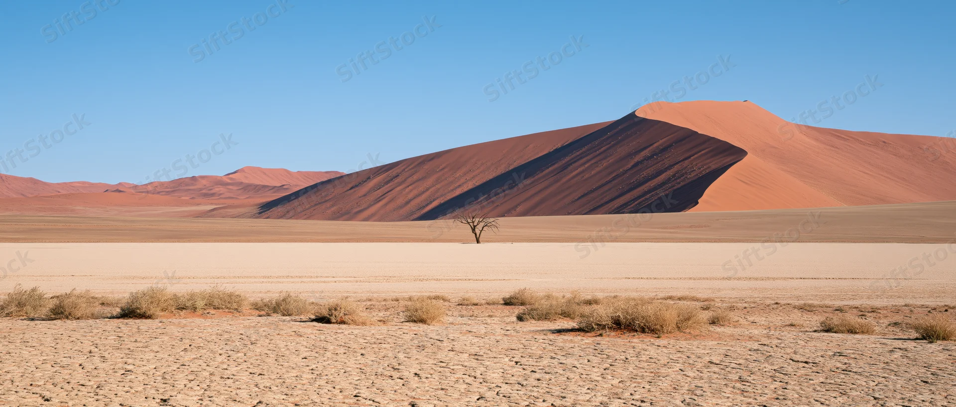 Red sand dune rising over flat desert plain under clear blue sky with lone tree and sparse shrubs in foreground