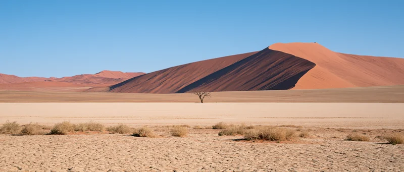 Red sand dune rising over flat desert plain under clear blue sky with lone tree and sparse shrubs in foreground