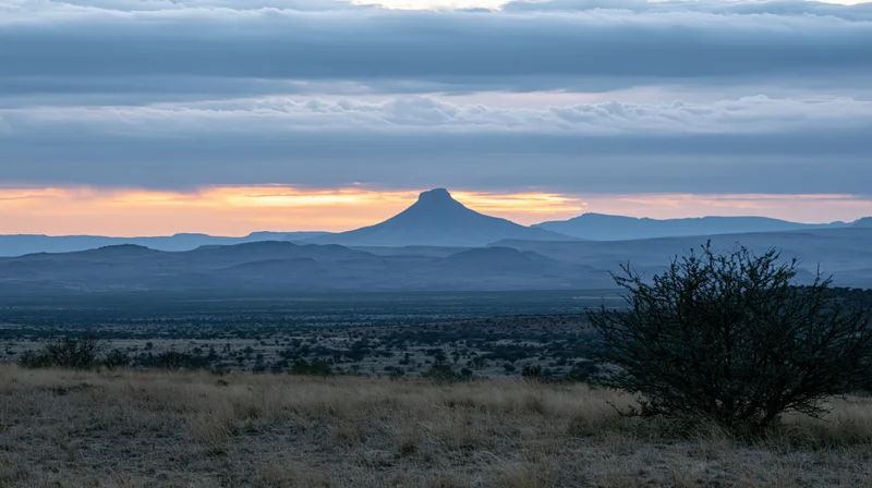 Desert landscape at sunset with distant butte and shrub in foreground