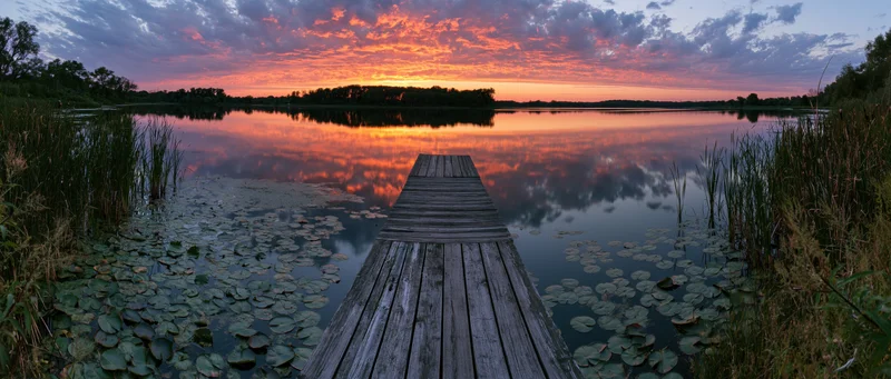 Wooden dock extending over calm lake at sunset with lily pads and reeds along the shore