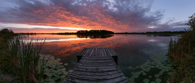 Wooden dock extending over calm lake at sunset with cloud reflections and lily pads along the shore