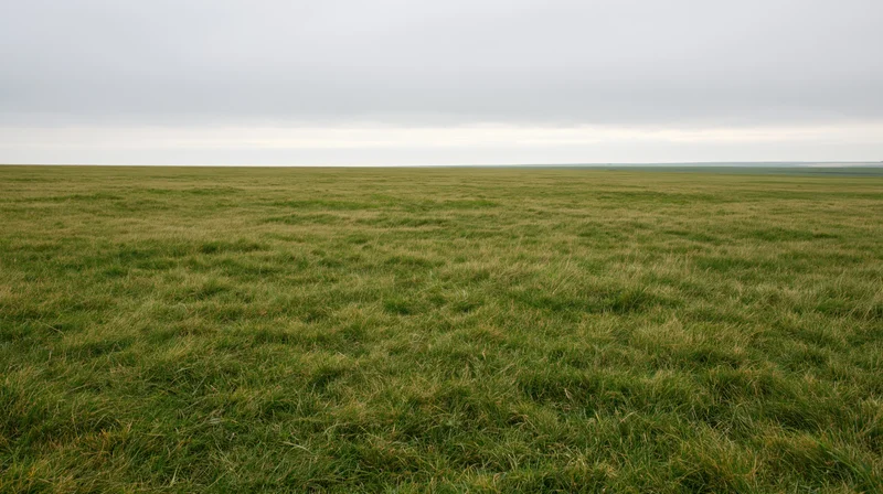 Expansive grass field under overcast sky with flat horizon and natural texture