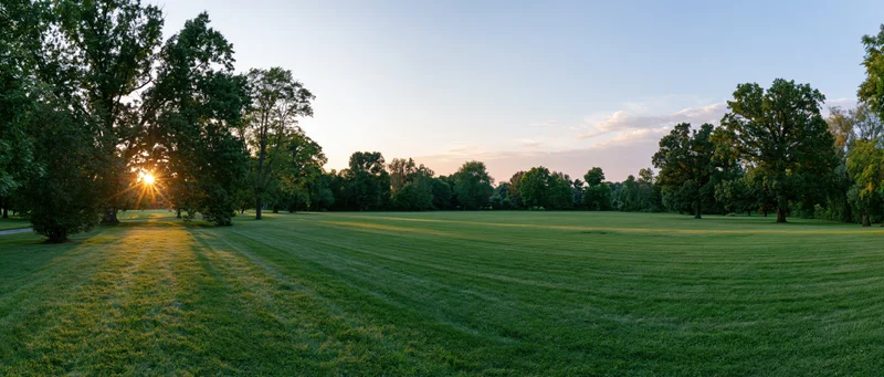 Expansive grassy park at sunset with trees lining the horizon