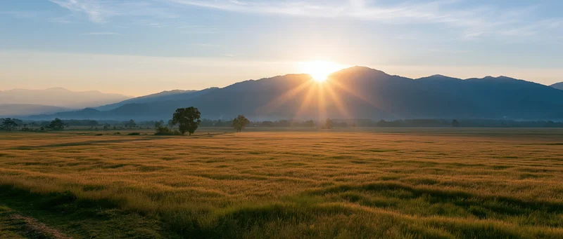Sunrise over a golden field with mountains in the distance