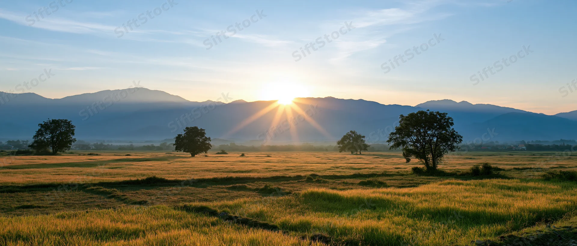 Sunrise over a grassy field with scattered trees and distant mountains in the background