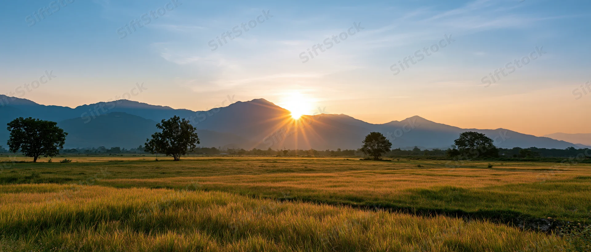 Sunrise over a grassy field with distant mountains and scattered trees