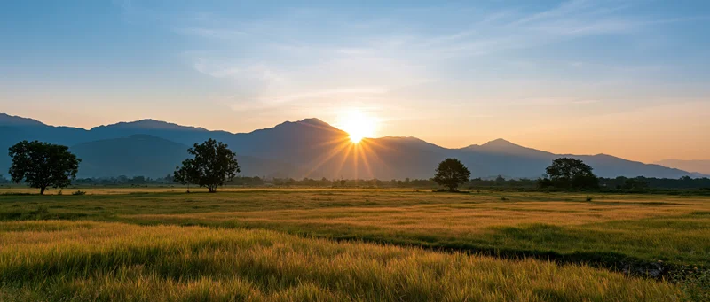 Sunrise over a grassy field with distant mountains and scattered trees