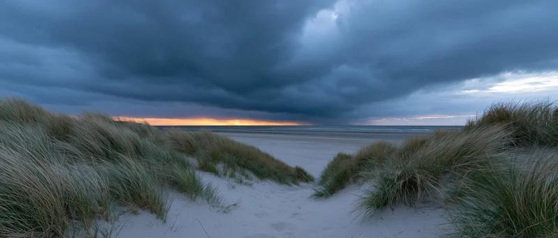 Sandy dunes with beachgrass leading to ocean under stormy sky at sunset