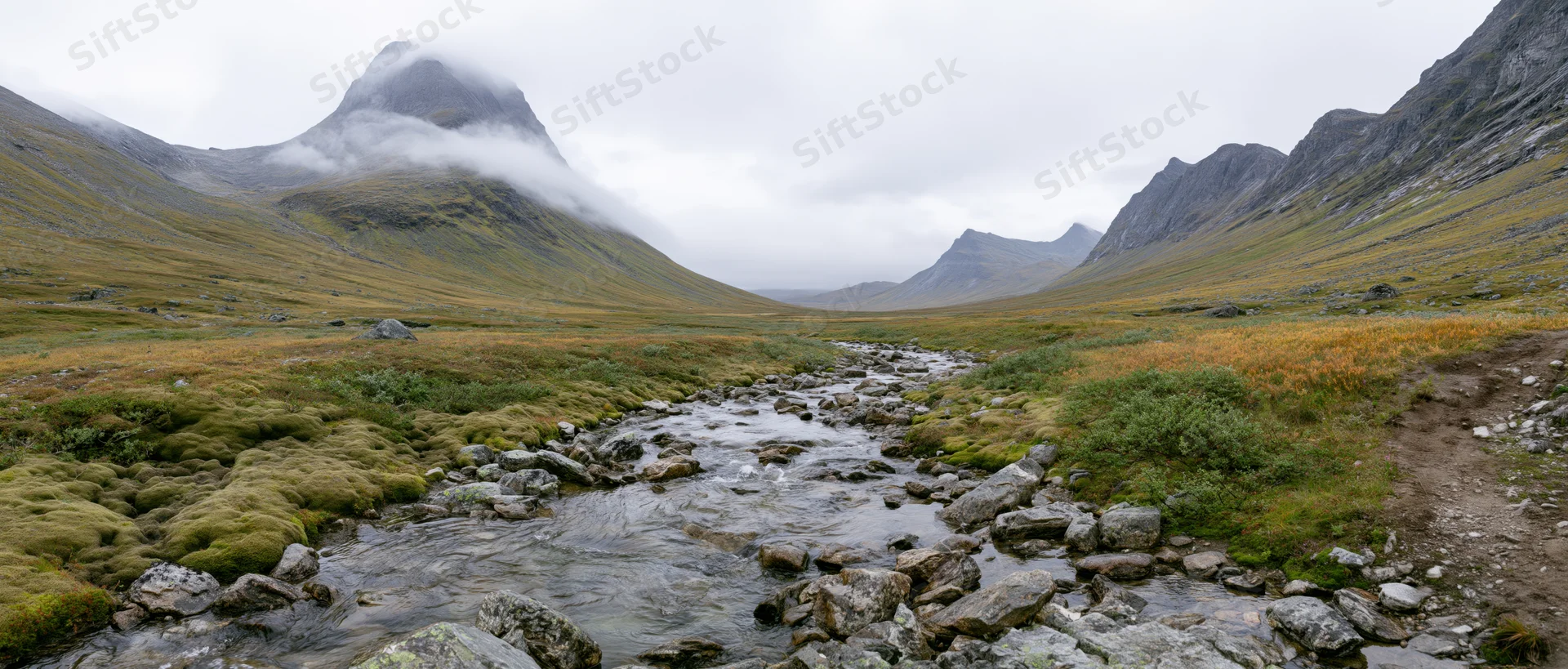 River flowing through alpine valley with mossy rocks and foggy mountains in background