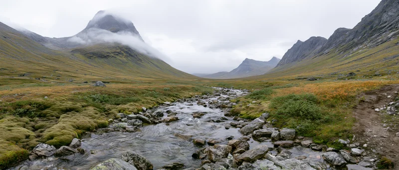 River flowing through alpine valley with mossy rocks and foggy mountains in background