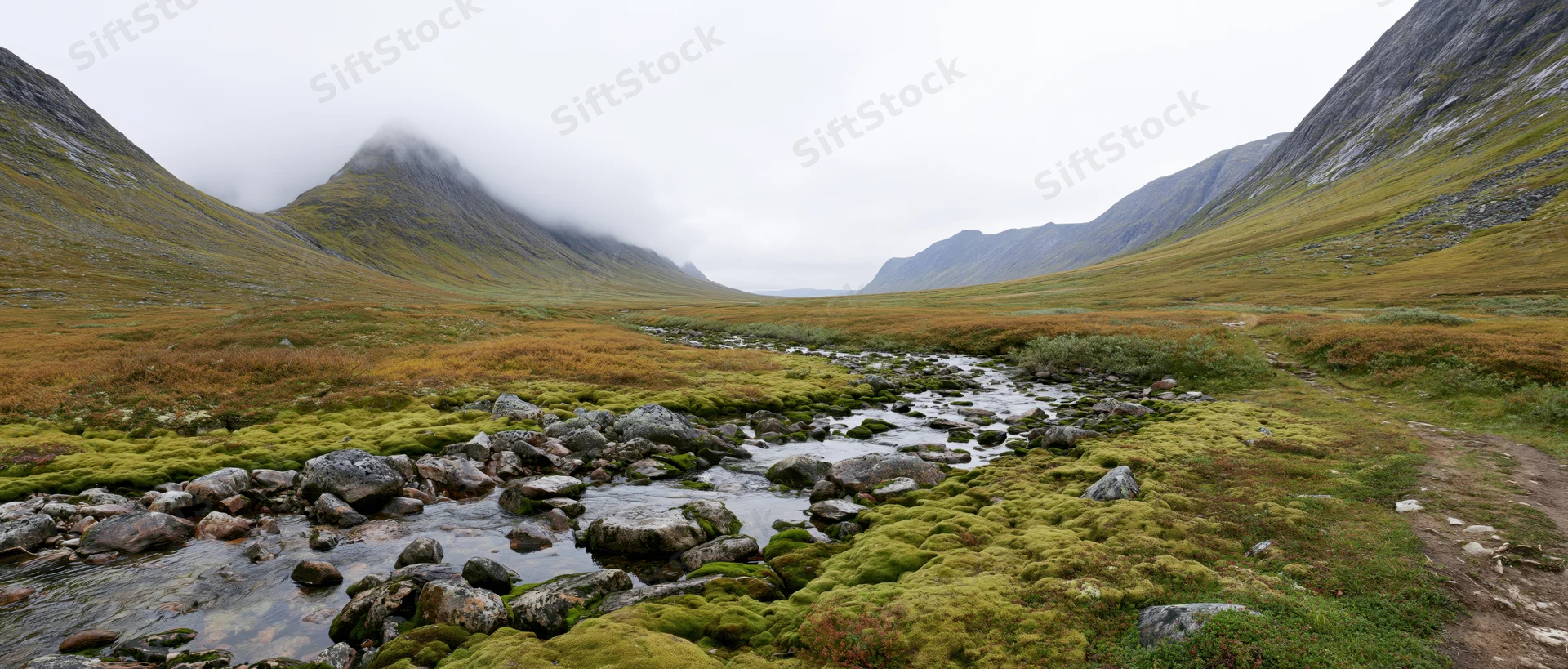 A narrow stream flows through a mossy alpine valley surrounded by fog-covered mountains