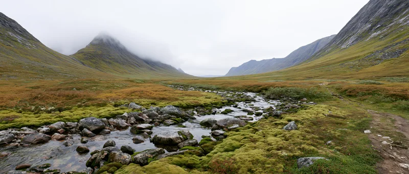 A narrow stream flows through a mossy alpine valley surrounded by fog-covered mountains