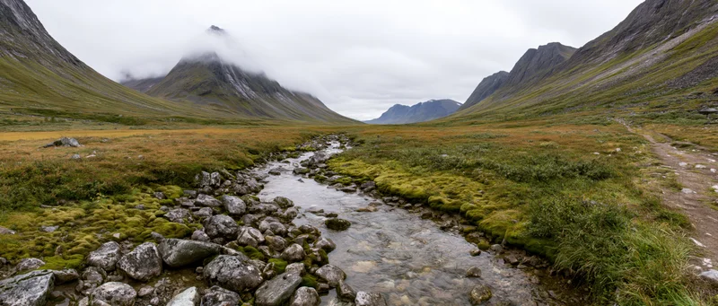 Clear stream flowing through mossy rocks in a mountain valley under cloudy sky