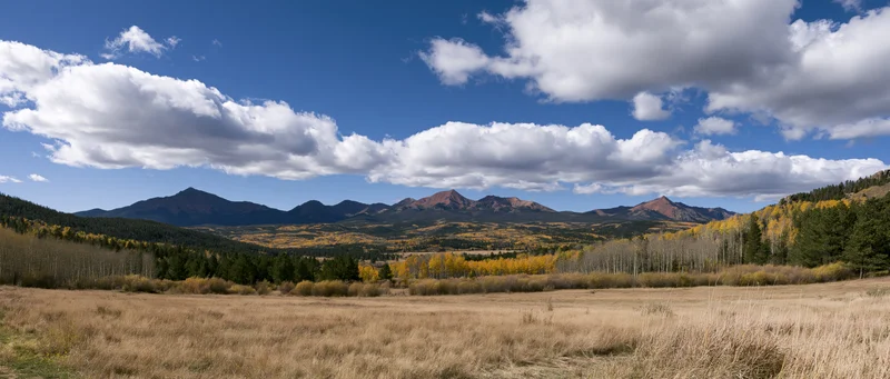 Autumn landscape with golden aspen trees and mountains under a blue sky with clouds
