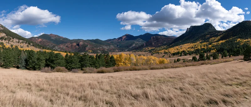 Autumn landscape with golden aspen trees and pine forest in a mountain valley under blue sky with clouds