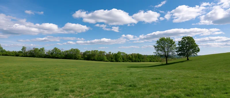 Expansive green field with scattered trees under a blue sky with white clouds