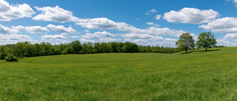 Expansive green field under a blue sky with scattered clouds, bordered by trees on a gentle hillside