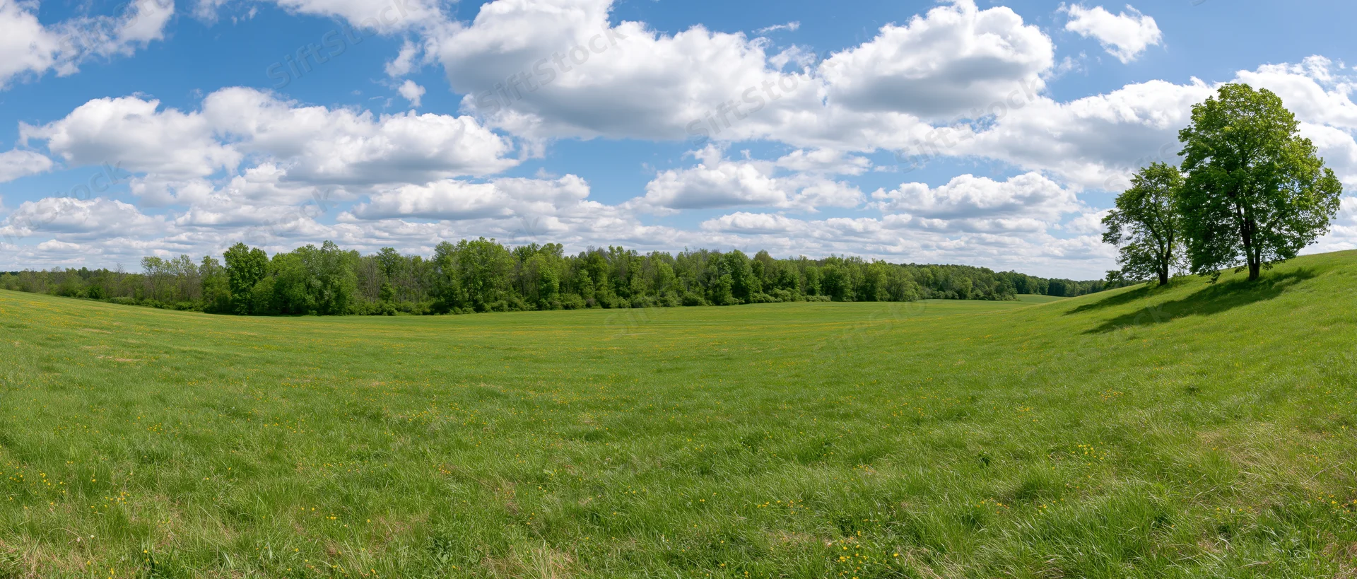 Expansive green meadow under a blue sky with scattered clouds, bordered by trees and rolling hills in the distance