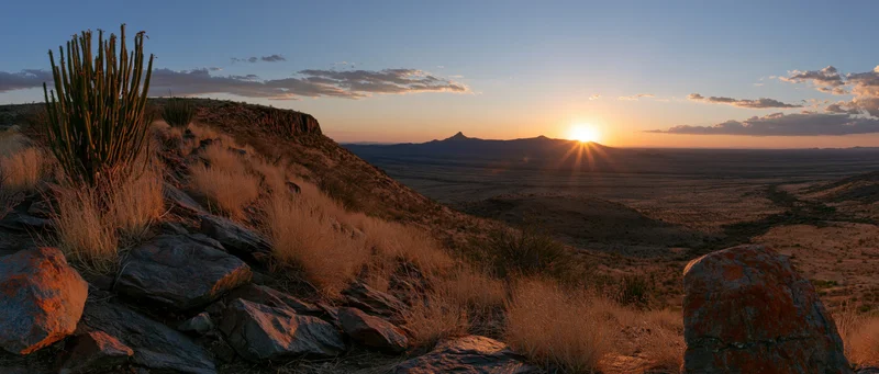 Desert landscape at sunset with cactus and rocky ridge overlooking valley