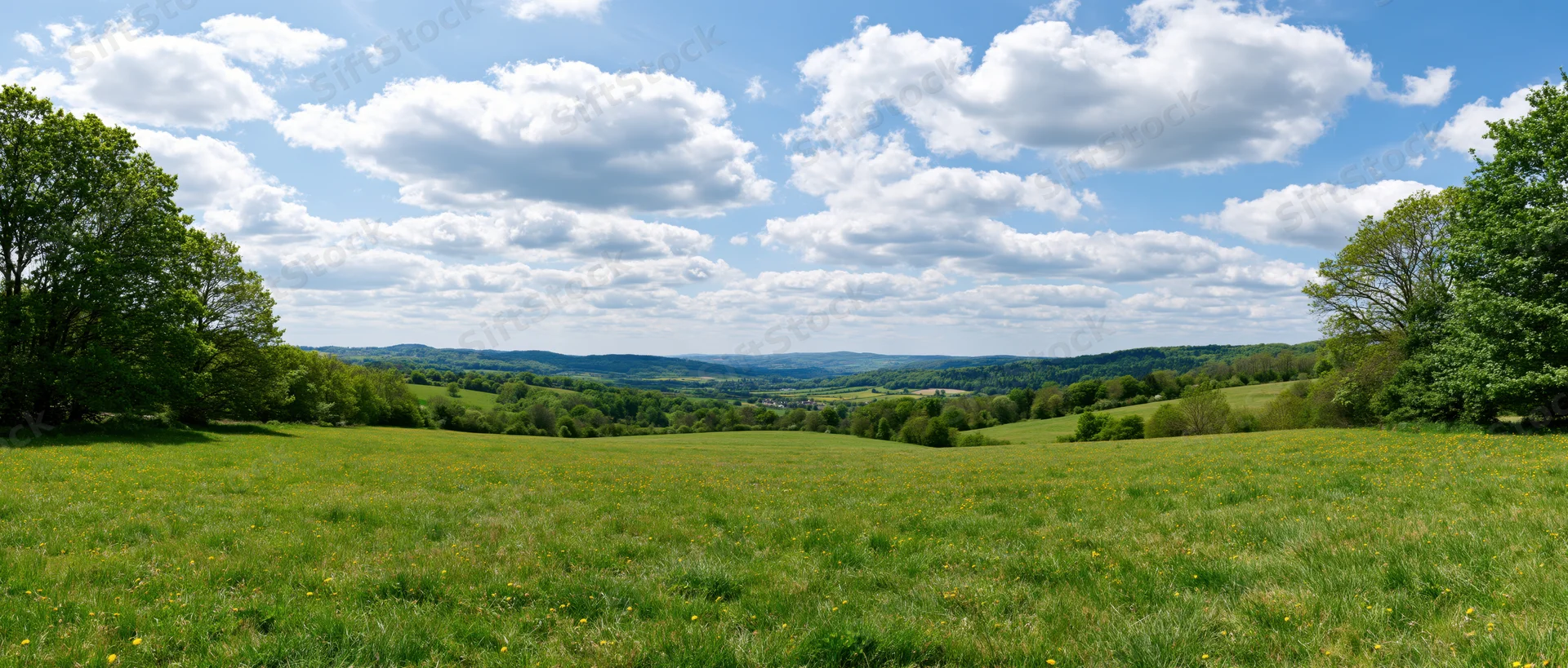 Expansive green meadow under a blue sky with scattered clouds, bordered by trees and rolling hills in the distance