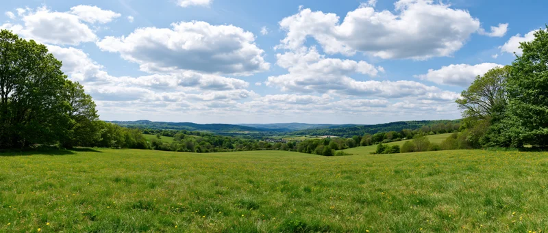 Expansive green meadow under a blue sky with scattered clouds, bordered by trees and rolling hills in the distance