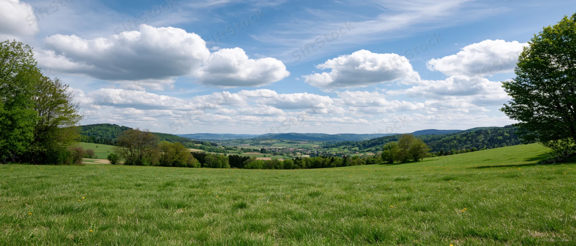 Expansive green meadow with scattered trees and rolling hills under a blue sky with white clouds, panoramic rural landscape view
