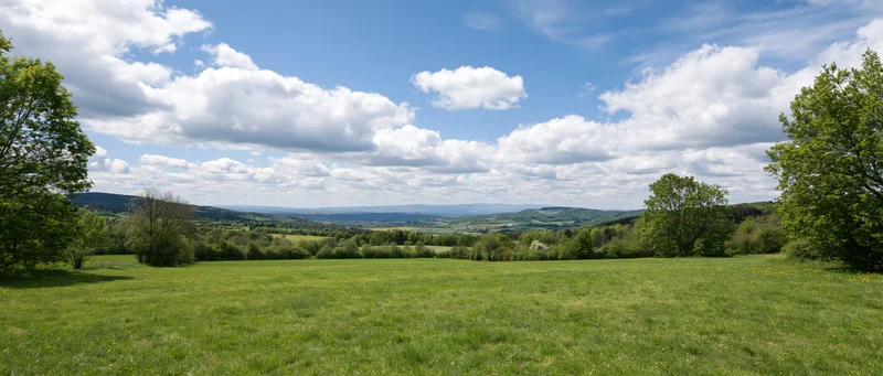 Expansive green meadow under a blue sky with scattered white clouds, bordered by trees and rolling hills in the distance