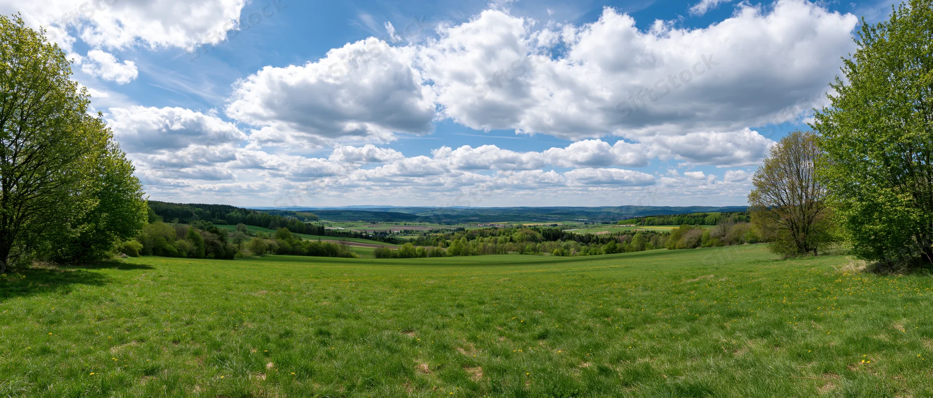Expansive green meadow under a blue sky with fluffy white clouds, bordered by trees and rolling hills in the distance