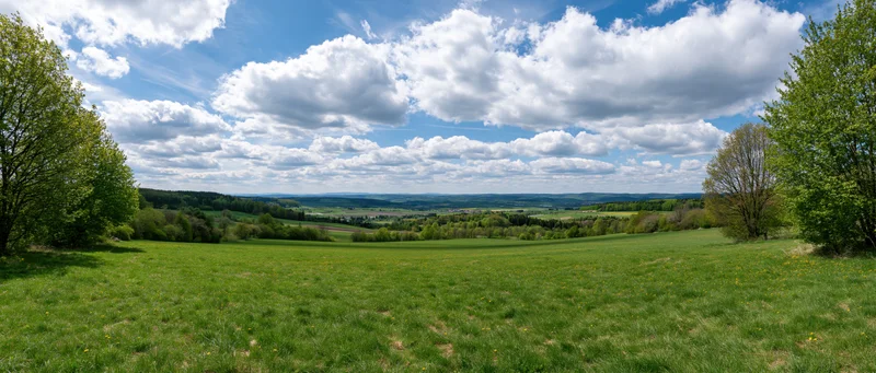 Expansive green meadow under a blue sky with fluffy white clouds, bordered by trees and rolling hills in the distance