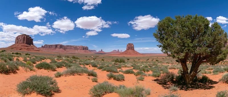 Red rock buttes and mesas in a desert valley under a blue sky with scattered clouds, surrounded by shrubs and a juniper tree