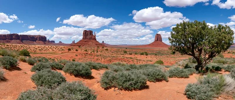 Red rock buttes and mesas rising from desert valley with sagebrush and juniper tree under blue sky with clouds