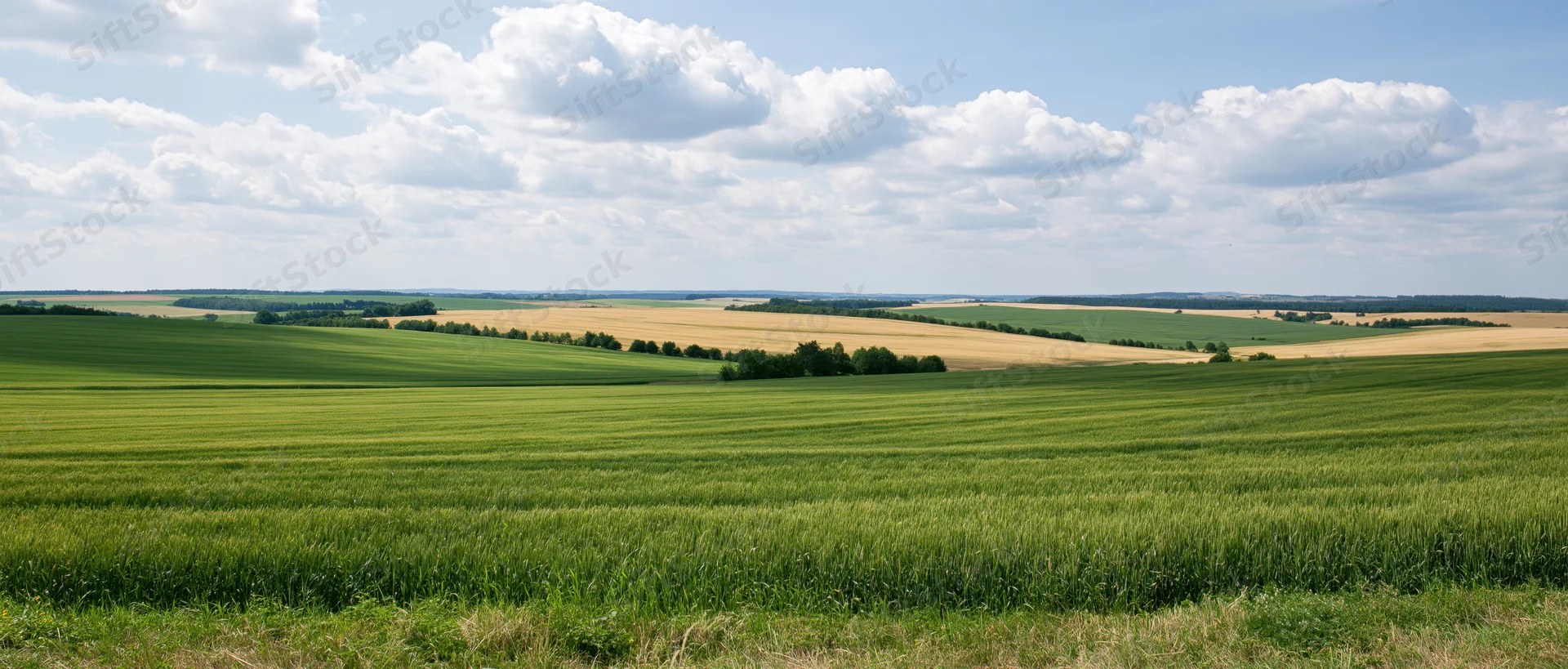 Expansive green and golden crop fields rolling under a blue sky with scattered clouds in a rural countryside landscape